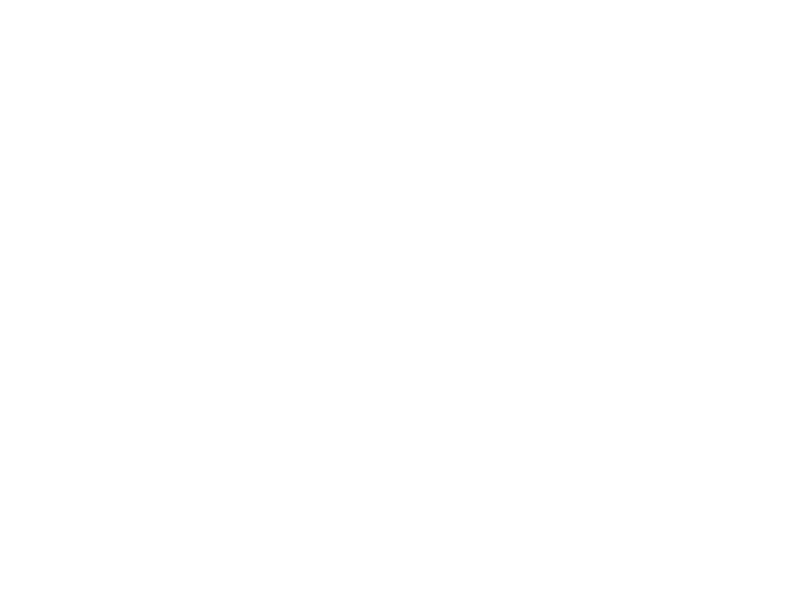 Velo de Silencio